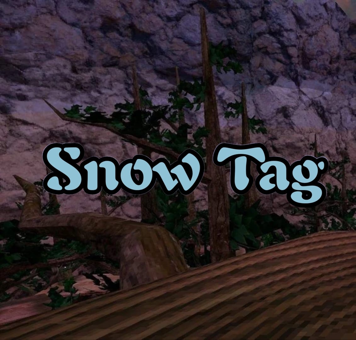 Cover image for Snow Tag V4.0