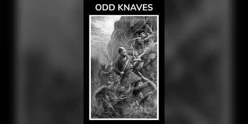 Cover image for Odd Knaves
