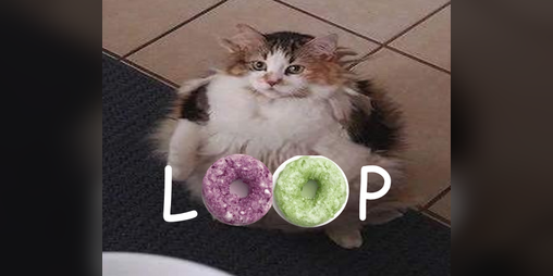 Cover image for Lööp