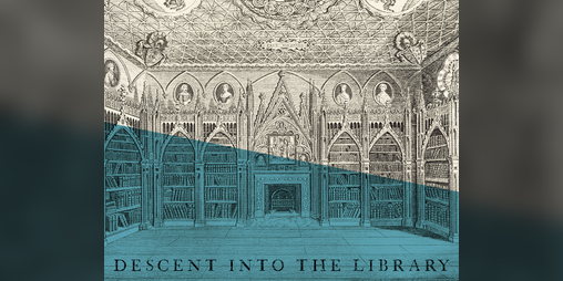 Cover image for Descent into the Library