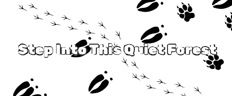 Step Into This Quiet Forest [Demo Playable In-Browser]