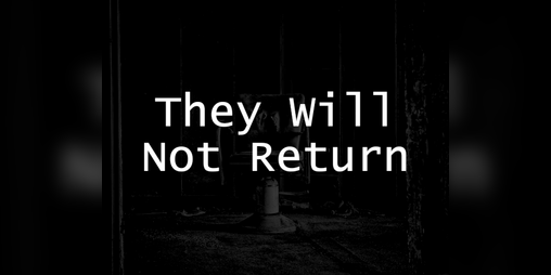 Cover image for They Will Not Return