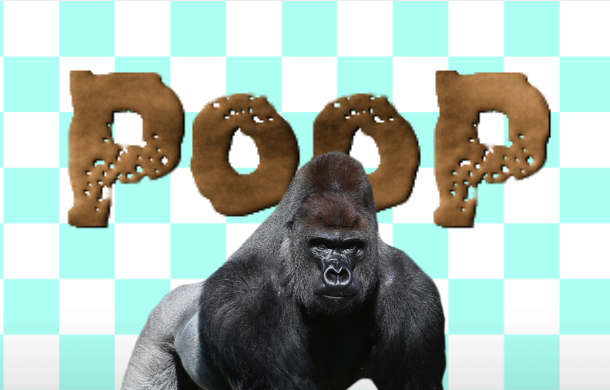 POOP
