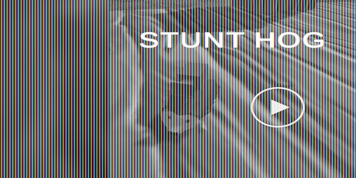Cover image for StuntHog