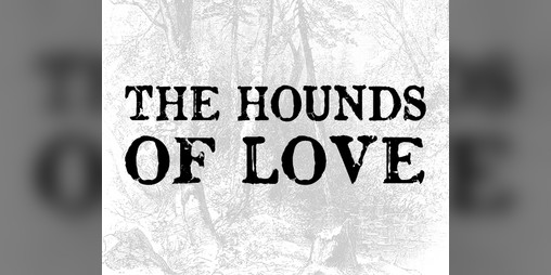 Cover image for THE HOUNDS OF LOVE