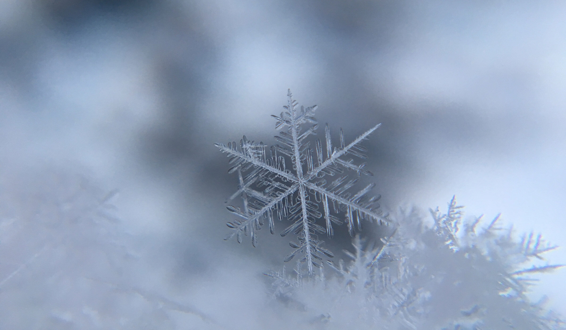 Sobre la nieve