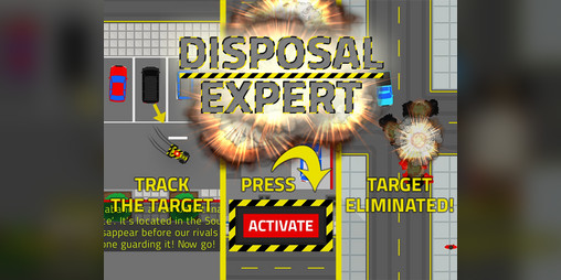 Cover image for Disposal Expert
