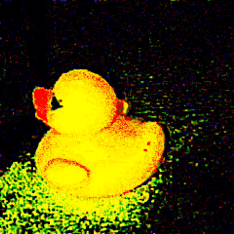 Feed Duck Cauliflower