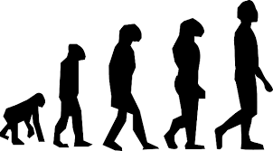 Cover image for The loop of life