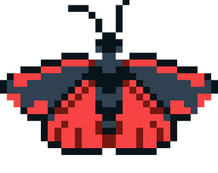 Moths! Moths! Moths!