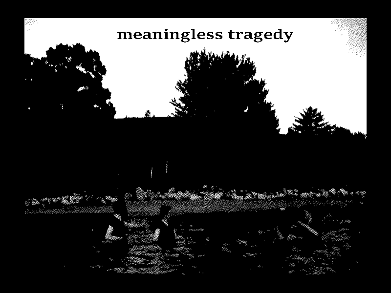Cover image for meaningless tragedy