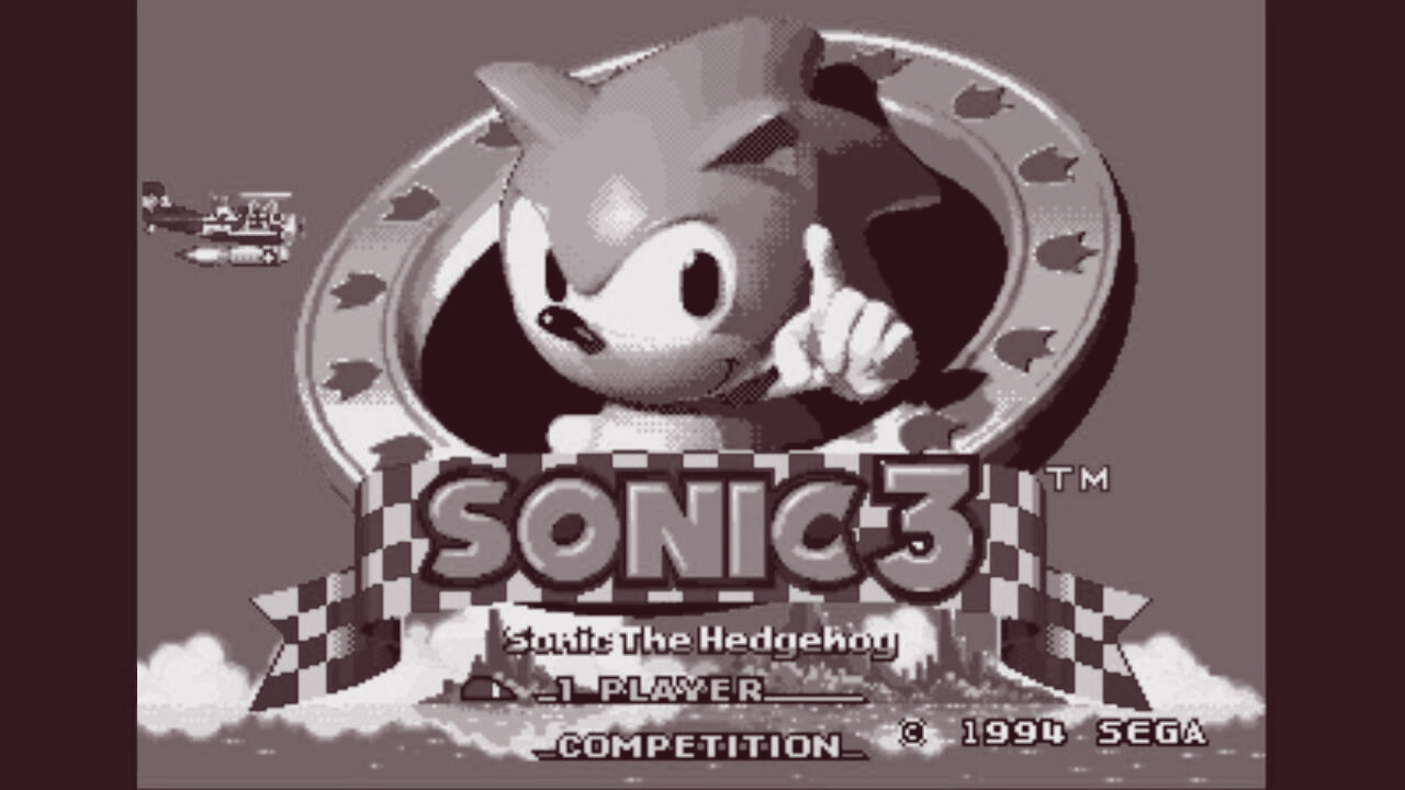 S**cideHedgehog.avi