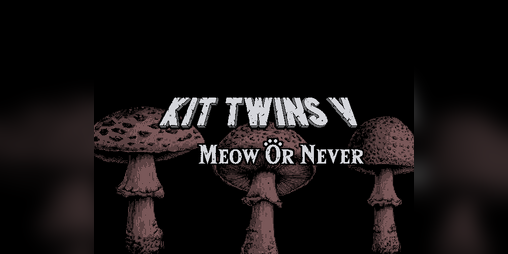 Cover image for Kit Twins V: Meow Or Never