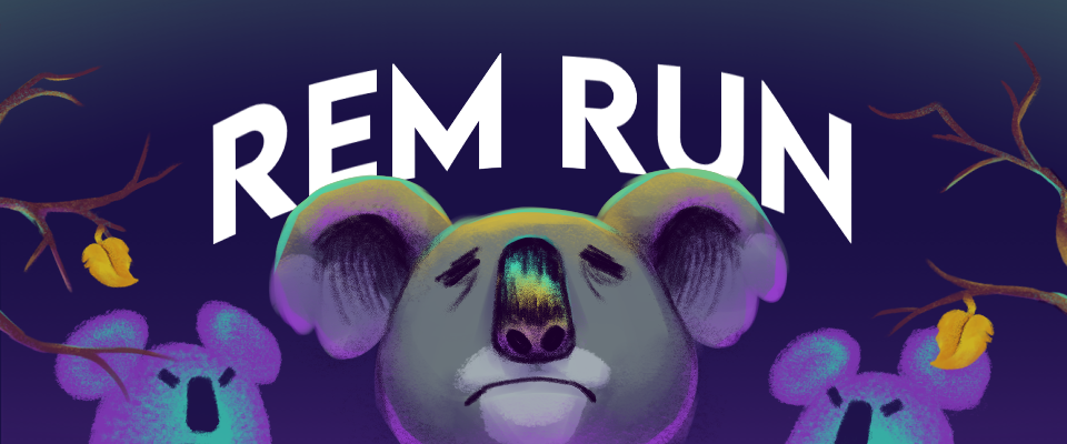 REM RUN