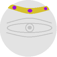 Unseen Spiral