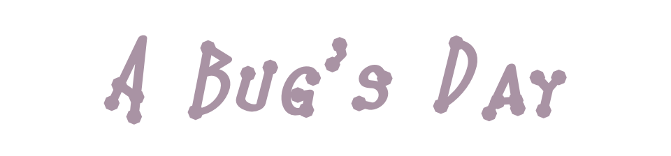 A bug's day