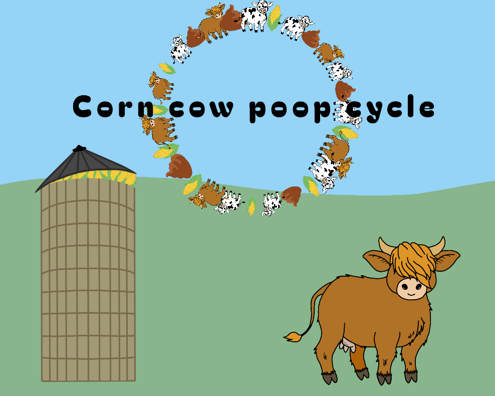 Cover image for Corn Cow Poop Cycle