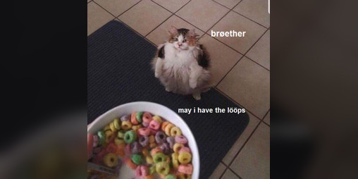 Cover image for Loop Trading Loops
