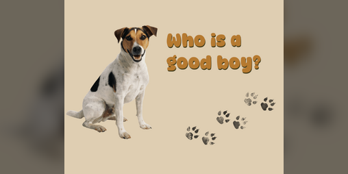 Cover image for Who's a good boy