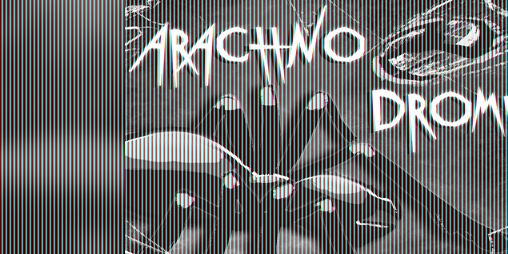 Cover image for Arachno Drome