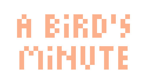 A bird's minute