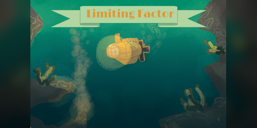 Cover image for Limiting Factor