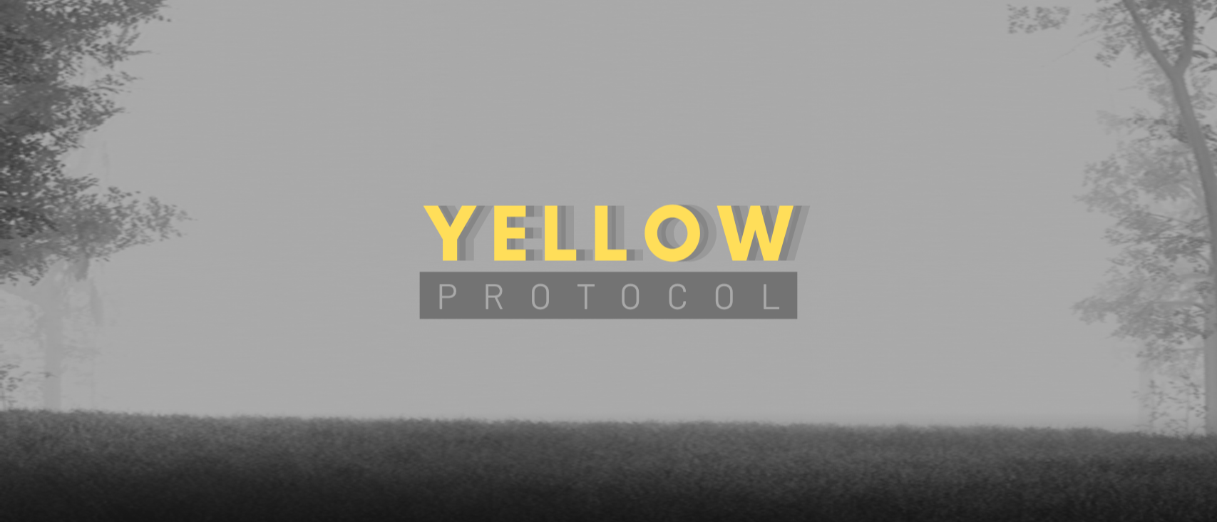 YELLOW PROTOCOL