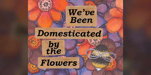 Cover image for We’ve Been Domesticated by the Flowers