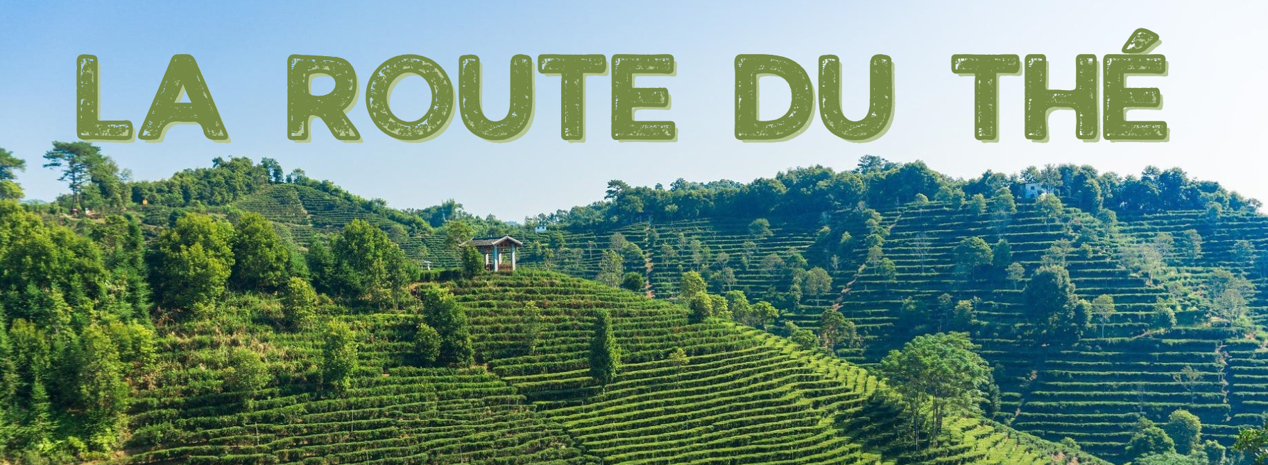 La Route du thé