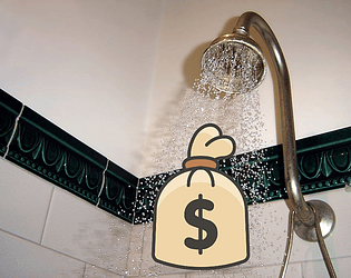 It's A Wash: The Shower Heist