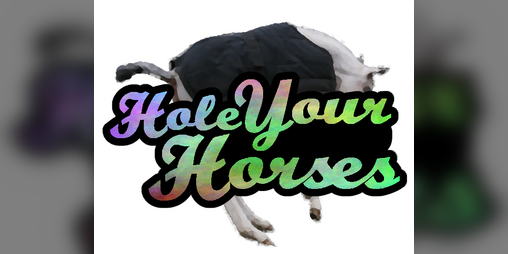 Cover image for Hole Your Horses