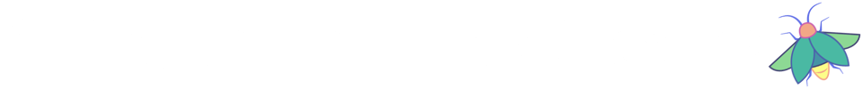 A Bug In The Code