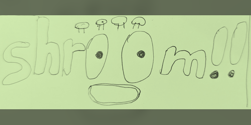 Cover image for shr00m