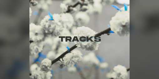 Cover image for Tracks