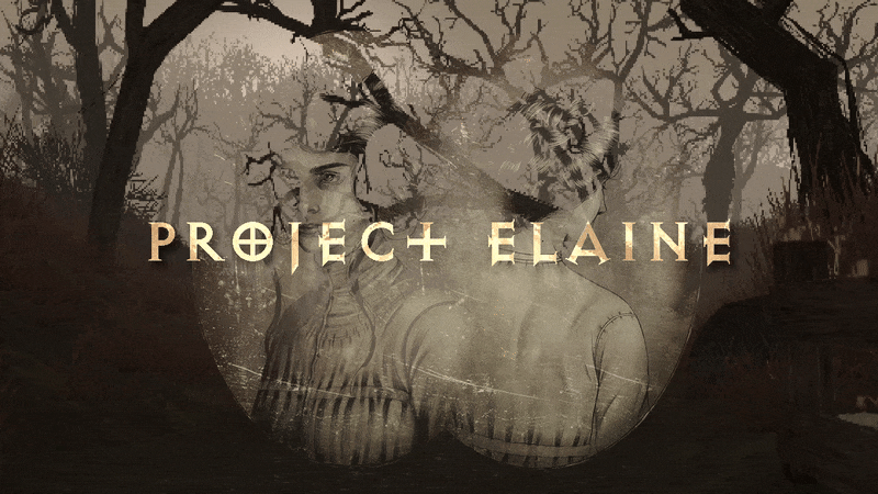 Project Elaine cover