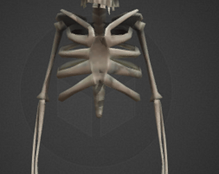Project Skeleton