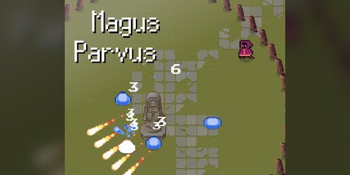 Cover image for Magus Parvus