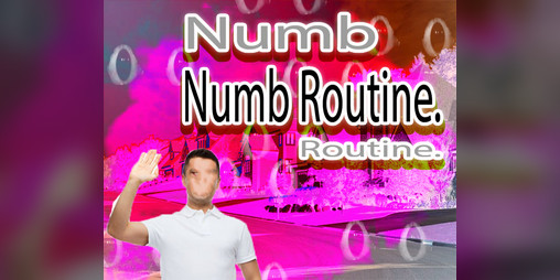 Cover image for Numb Routine.