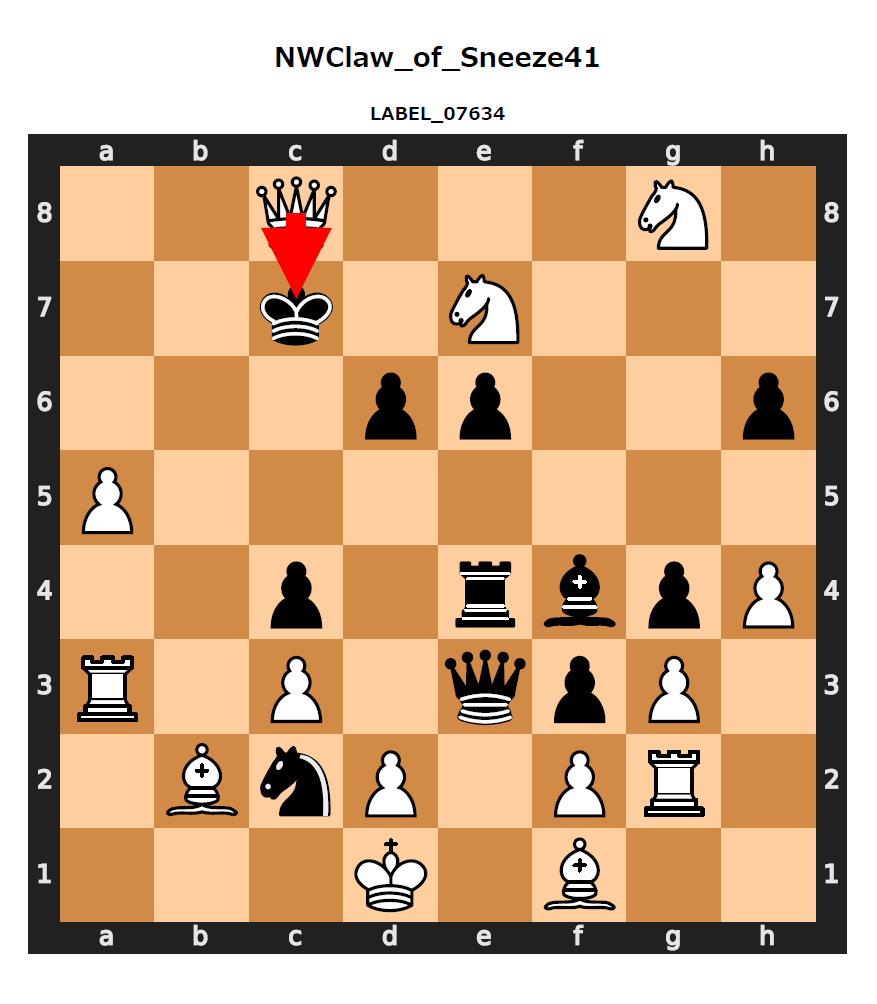 A large-scale structured dataset of over 7,000 checkmate positions by ...