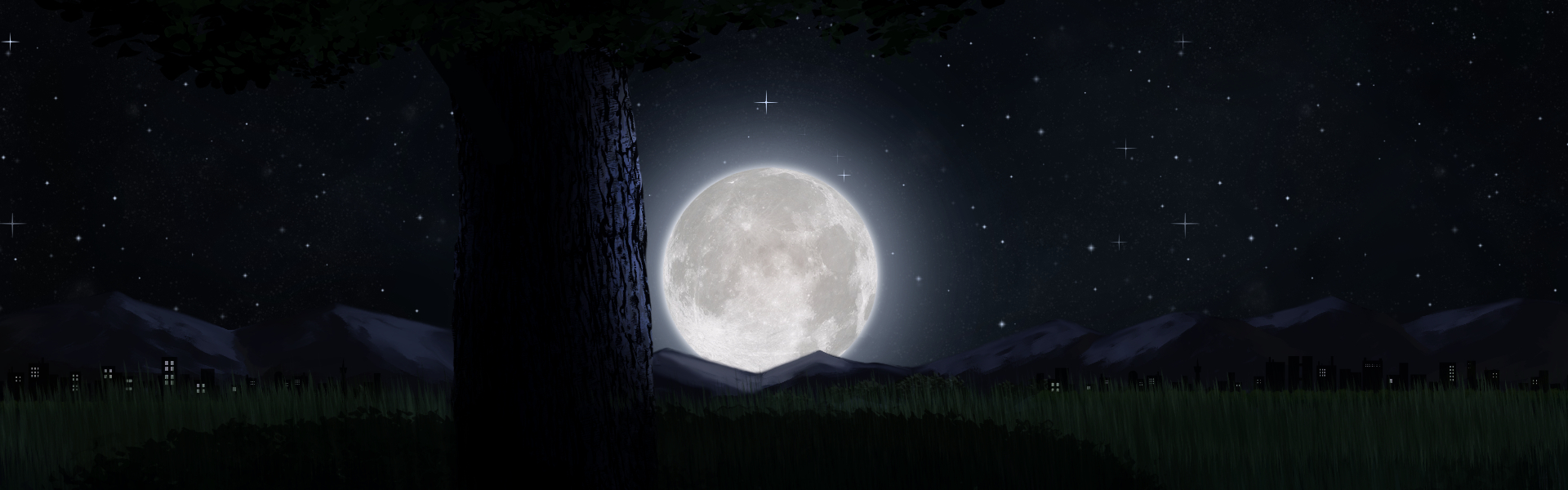 Moonlit Field