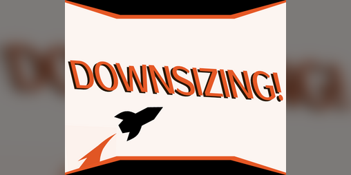 Cover image for DOWNSIZING!