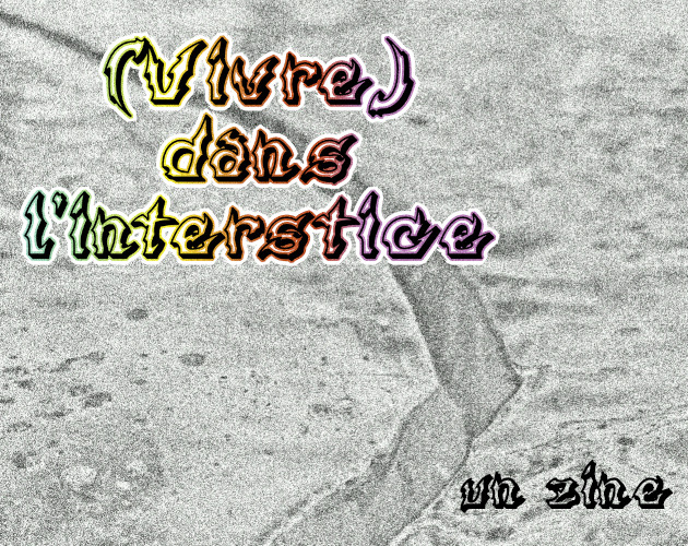 Cover image for (Vivre) dans l'interstice