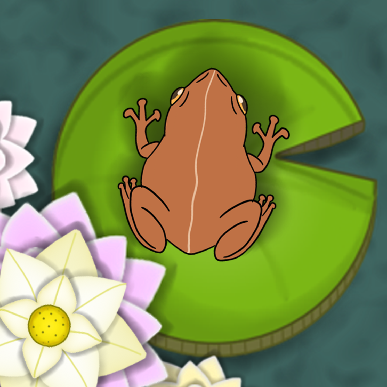 Cover image for If Frogs Could Fight Back