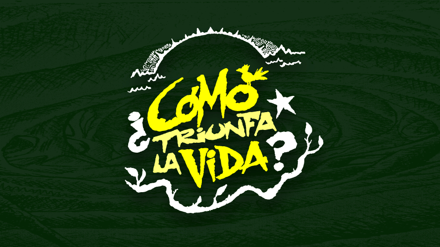 Cover image for ¿Cómo triunfa la vida?