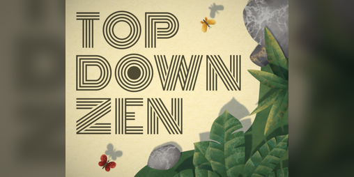 Cover image for Top Down Zen