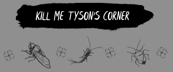Kill Me Tyson's Corner
