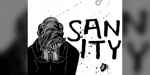 Cover image for Sanity
