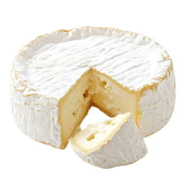 Cover image for The Cheese Taster