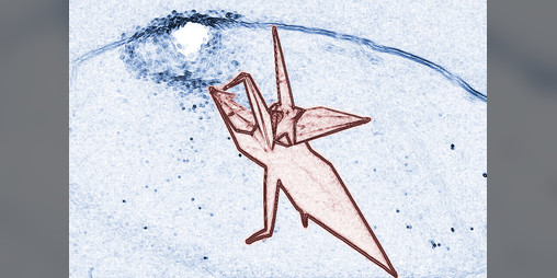 Cover image for Orizuru: a half-formed thing