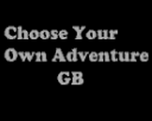 Choose Your Own Adventure GB